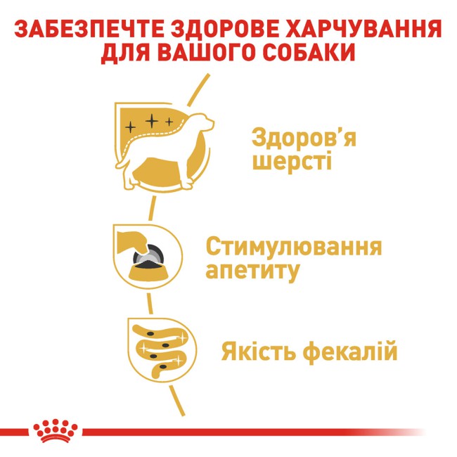 Royal Canin Yorkshire Terrier 12х85 г вологий корм для собак породи йоркширський тер'єр