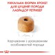 Royal Canin Labrador Retriever Puppy 12 кг сухий корм для цуценят породи Лабрадор ретрівер