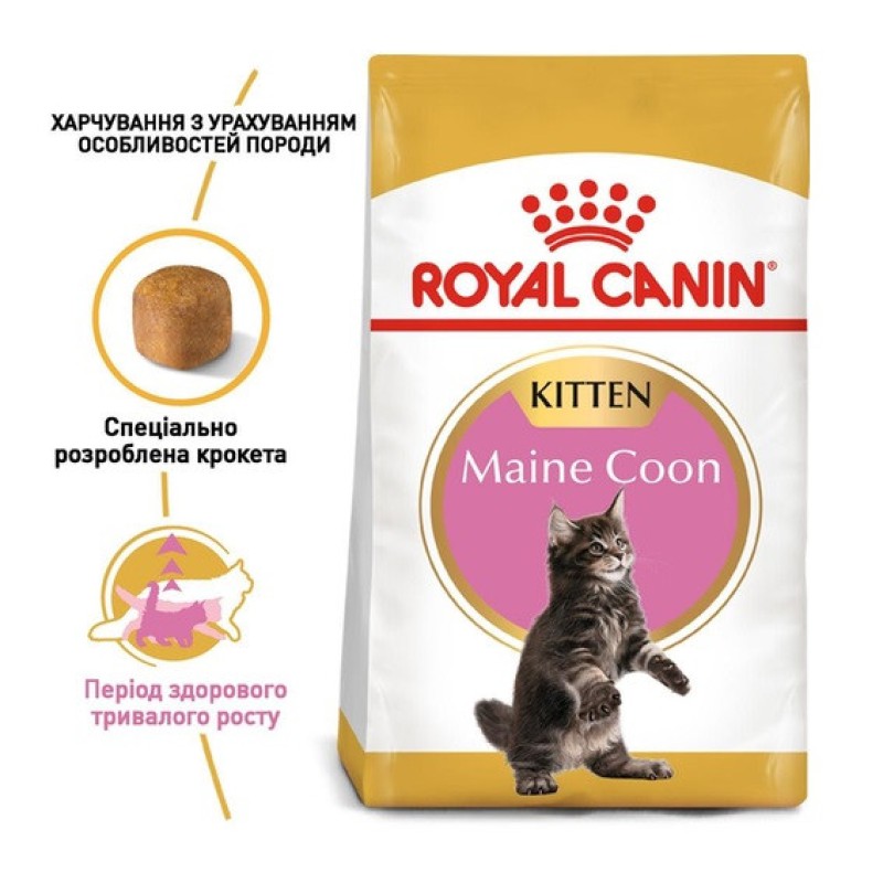 Royal Canin Maine Coon Kitten 4 кг сухий корм для кошенят породи мейн-кун
