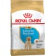 Royal Canin Labrador Retriever Puppy 12 кг сухий корм для цуценят породи Лабрадор ретрівер