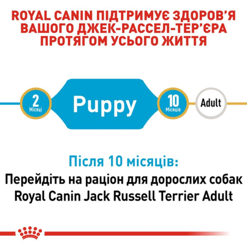 Royal Canin Jack Russell Terrier Puppy 1.5 кг сухий корм для цуценят породи Джек Рассел Тер'єр