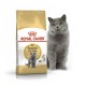 Royal Canin British Shorthair 10 кг сухий корм для котів британської породи