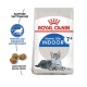Royal Canin Indoor 7+ 3.5 кг сухий корм із птицею для старіючих котів