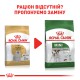 Royal Canin Maltese 500 г сухий корм для собак породи мальтійська болонка