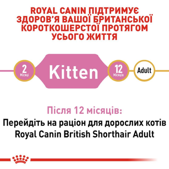 Royal Canin British Shorthair Kitten 10 кг сухой корм для котят британской породы