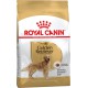 Royal Canin Golden Retriever Adult 12 кг сухий корм для собак породи золотистий ретрівер