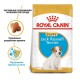 Royal Canin Jack Russell Terrier Puppy 1.5 кг сухий корм для цуценят породи Джек Рассел Тер'єр
