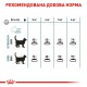 Royal Canin Hairball Care 10 кг сухий корм для котів проти шерстяних грудок