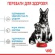Royal Canin Maxi Starter 4 кг сухий корм для щенят