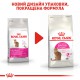 Royal Canin Exigent Aromatic Attraction 4 кг сухий корм для котів