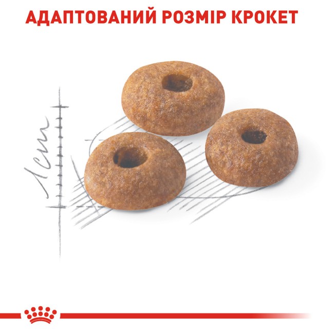 Royal Canin Fit 32  10 кг сухий корм для домашніх та вуличних котів