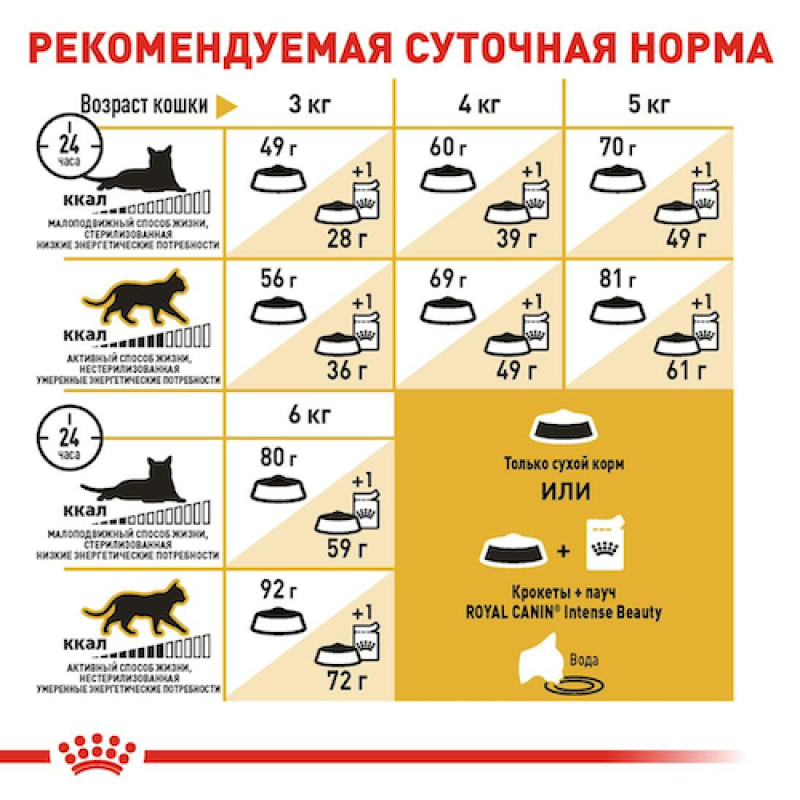 Royal Canin Sphynx 4 кг сухий корм для кішок породи сфінкс
