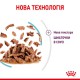 Royal Canin Sensory Feel in Jelly 12х85 г вологий корм у желе для котів