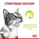 Royal Canin Sensory Smell in Jelly 12×85 г вологий корм у желе для котів
