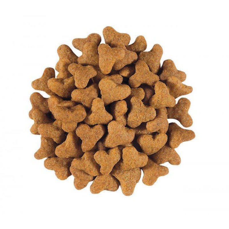 Royal Canin Gastrointestinal Fibre 4 кг сухий корм для котів при закрепах та проблемах ШКТ