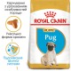 Royal Canin Pug Puppy 1.5 кг сухий корм для цуценят породи мопс віком до 10 місяців