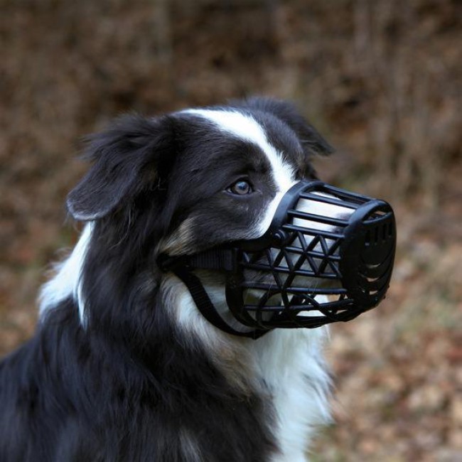 Намордник Trixie Muzzle для собак пластиковий XS, обхват морді 14 см (17601)