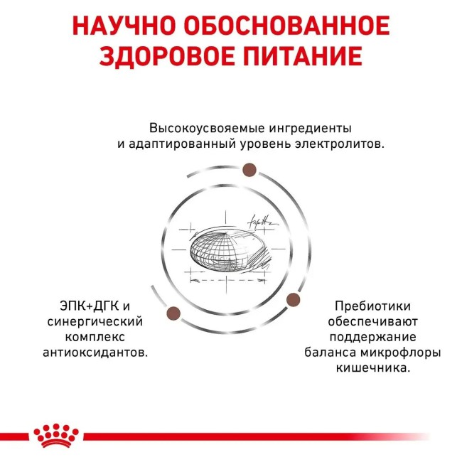 Royal Canin Gastrointestinal Moderate Calorie 2 кг сухий корм для котів