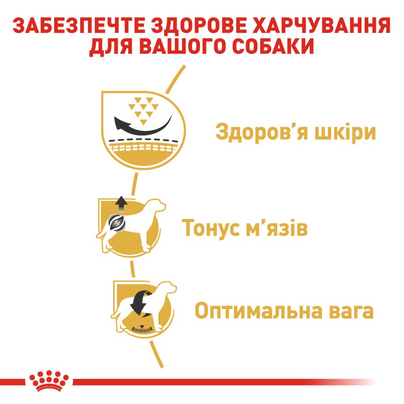 Royal Canin Pug 3 кг сухий корм для собак породи Мопс