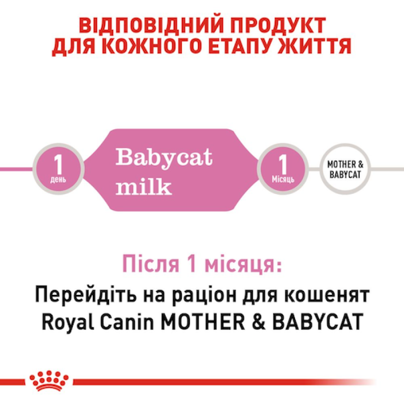 Royal Canin Baby Milk 300 г молочна суміш для кошенят
