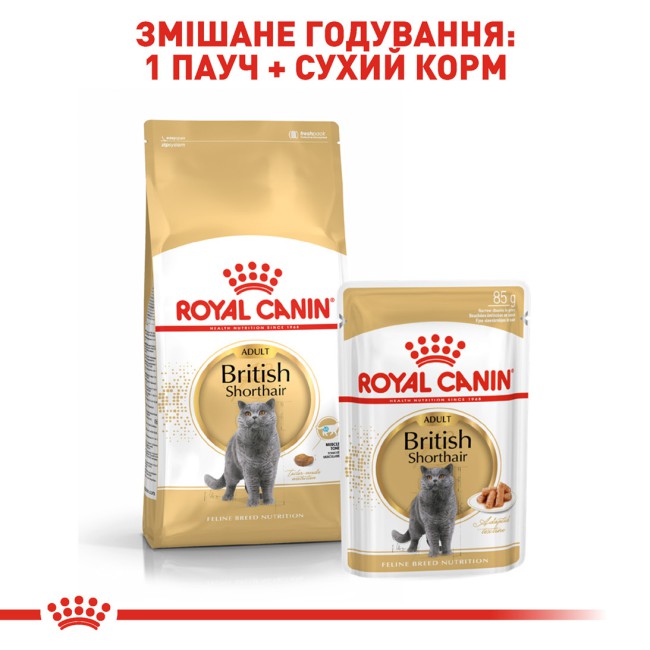 Royal Canin British Shorthair 12х85 г вологий корм для котів породи британська короткошерста