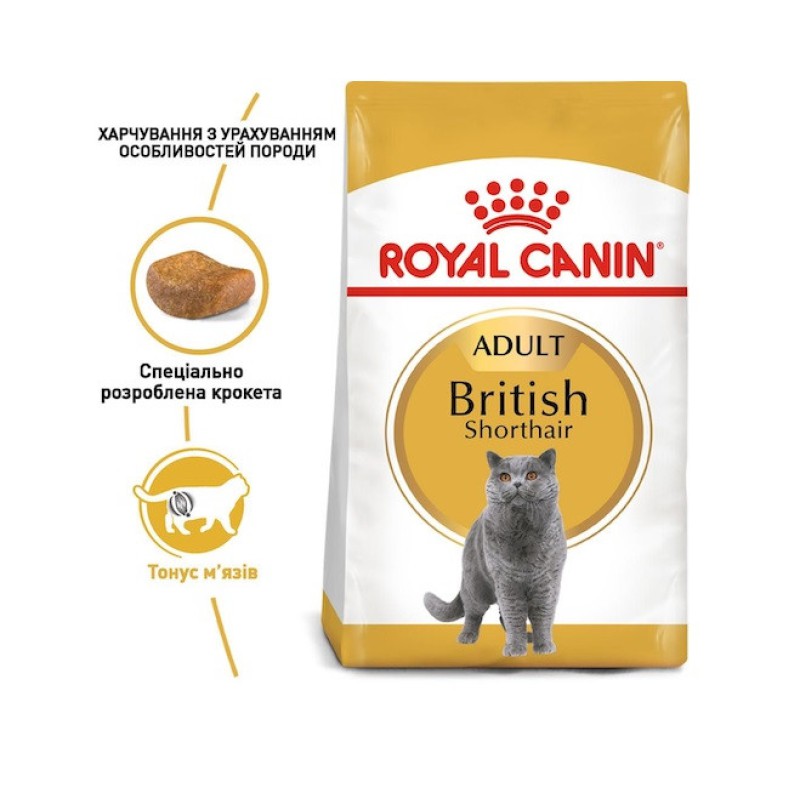 Royal Canin British Shorthair 4 кг сухий корм для котів британської породи