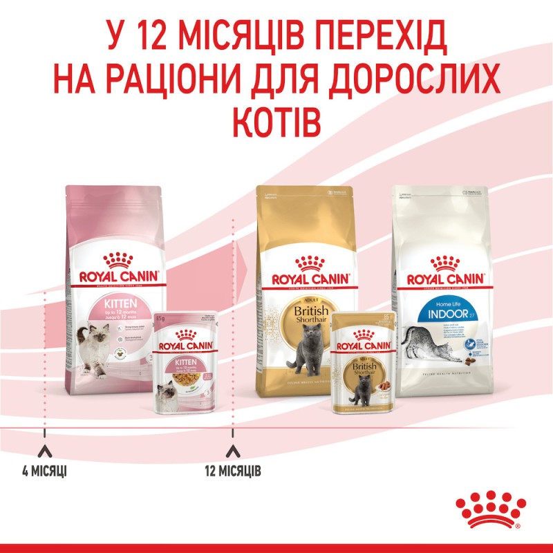 Royal Canin Kitten Instinctive 12x85 г вологий корм в желе для кошенят від 2 до 12 місяців