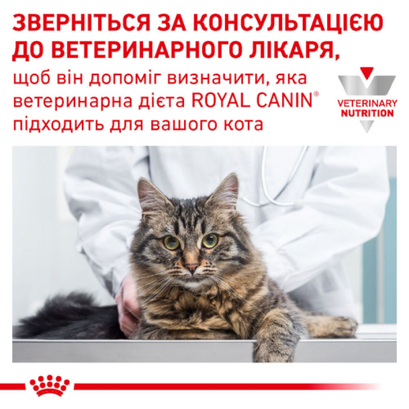 Royal Canin Skin Coat Feline Pouches 12х85 г вологий корм для котів для підтримки вовни та шкіри