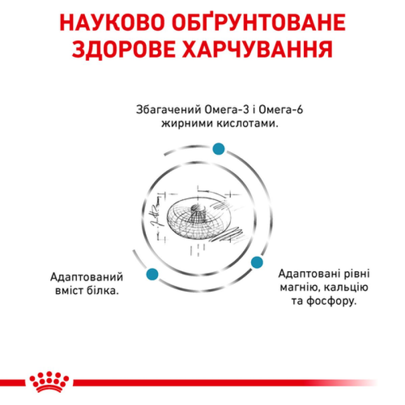 Royal Canin Skin & Coat 3.5 кг сухий корм для котів після стерилізації при дерматозах і випадінні шерсті