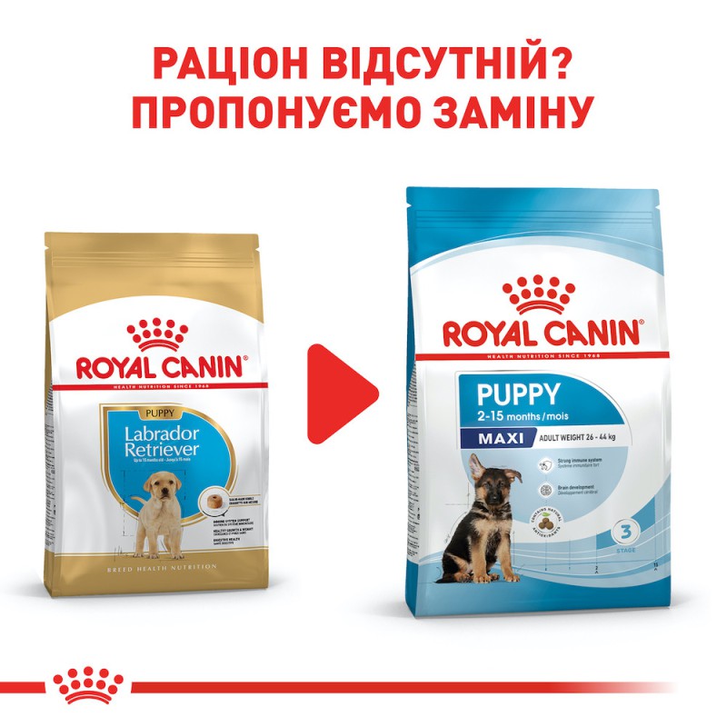 Royal Canin Labrador Retriever Puppy 3 кг сухий корм для цуценят породи Лабрадор ретрівер