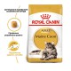 Royal Canin Maine Coon 4 кг сухий корм для котів породи Мейн-кун