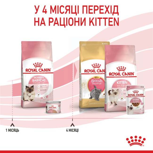Royal Canin Babycat 10 кг сухой корм для кормящих кошек и котят с 1-го до 4-х месяцев