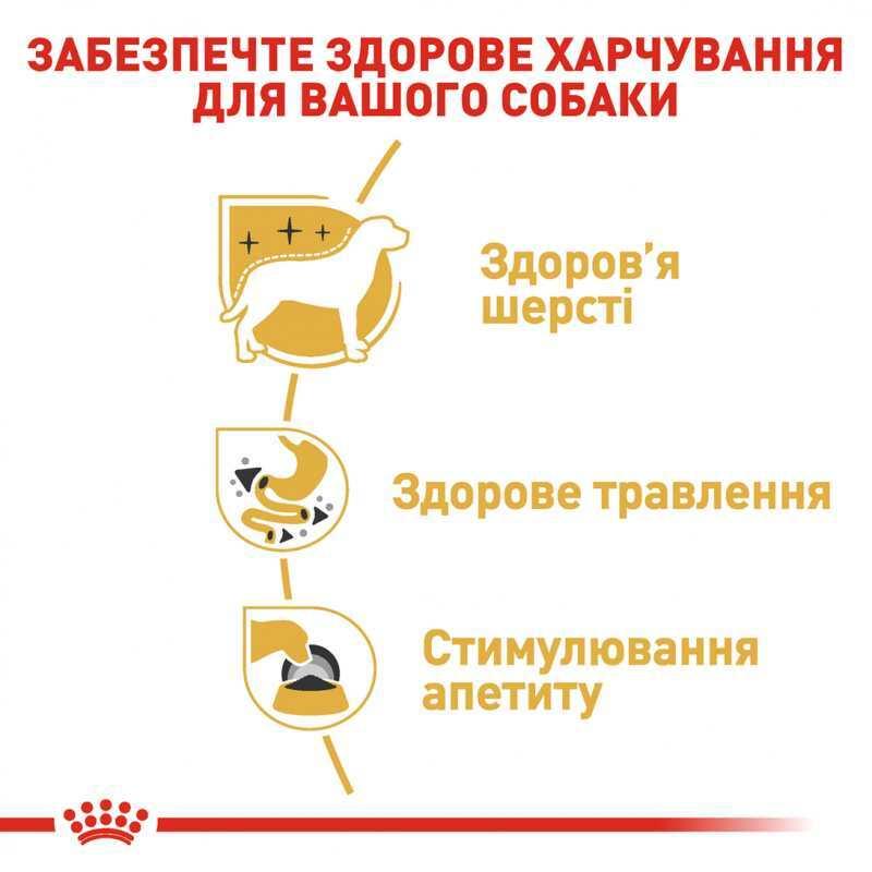 Royal Canin Chihuahua 12х85 г вологий корм для собак породи чихуахуа