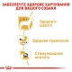 Royal Canin Chihuahua 12х85 г вологий корм для собак породи чихуахуа