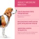 Optimeal Medium Dog 12 кг сухий корм для собак середніх порід з індичкою