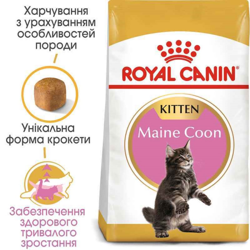 Royal Canin Maine Coon Kitten 4 кг сухий корм для кошенят породи мейн-кун
