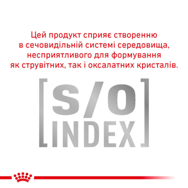 Royal Canin Skin Coat Feline Pouches 12х85 г вологий корм для котів для підтримки вовни та шкіри