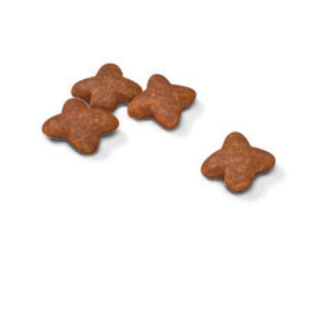 Royal Canin Mini Adult 8 кг сухой корм для собак мелких пород