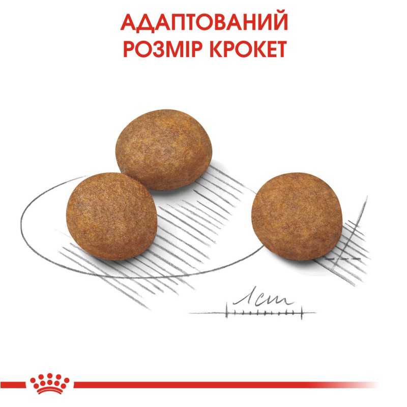 Royal Canin Maxi Puppy 4 кг сухий корм для цуценят