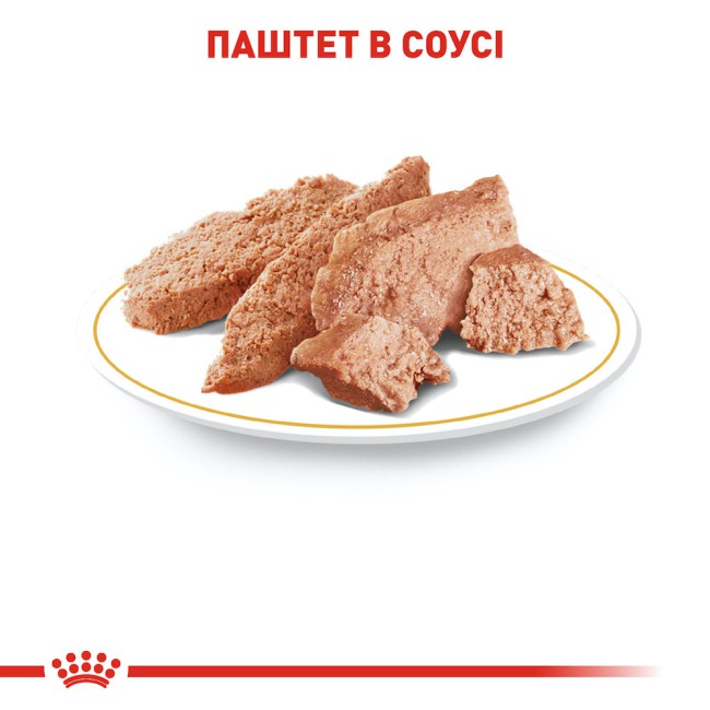 Royal Canin Yorkshire Terrier 12х85 г вологий корм для собак породи йоркширський тер'єр