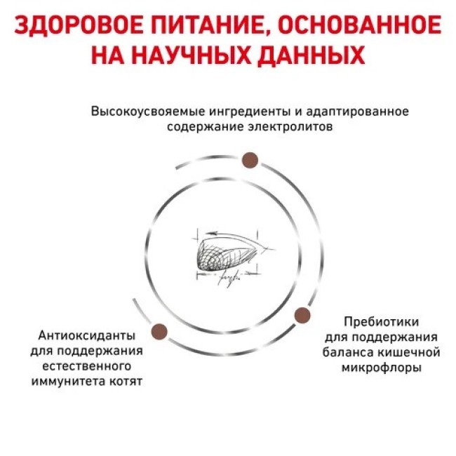 Royal Canin Gastrointestinal Kitten 400 г сухой корм для котят с нарушениями пищеварения