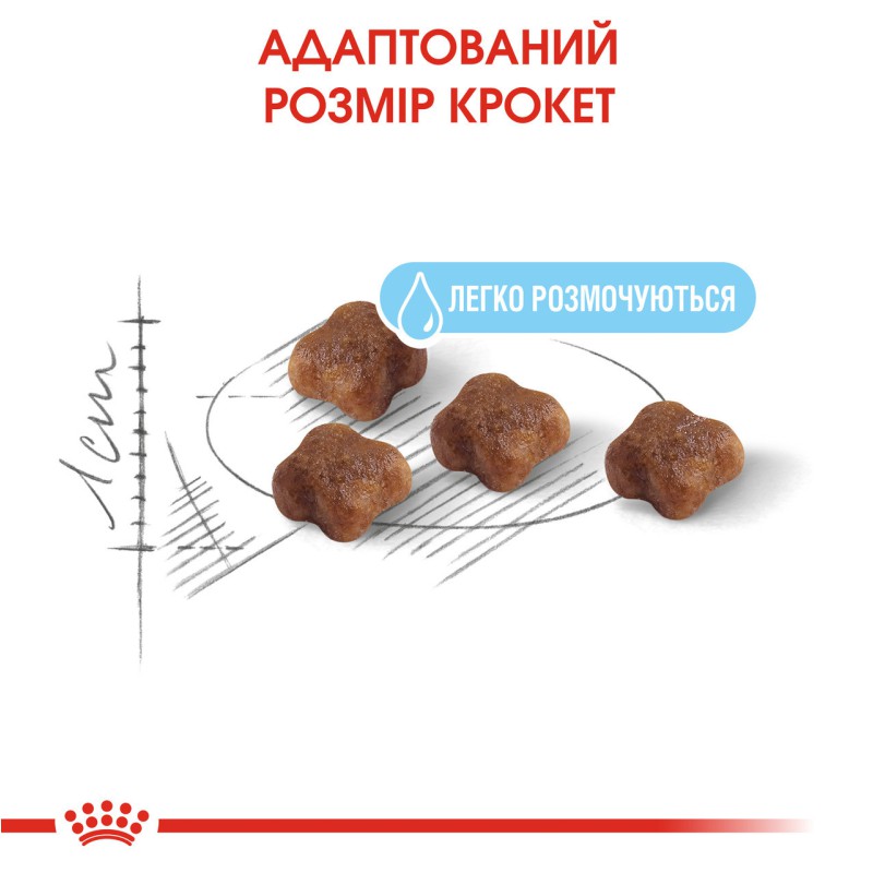 Royal Canin Babycat 4 кг сухий корм для котів і кошенят, що годують з 1-го до 4-х місяців