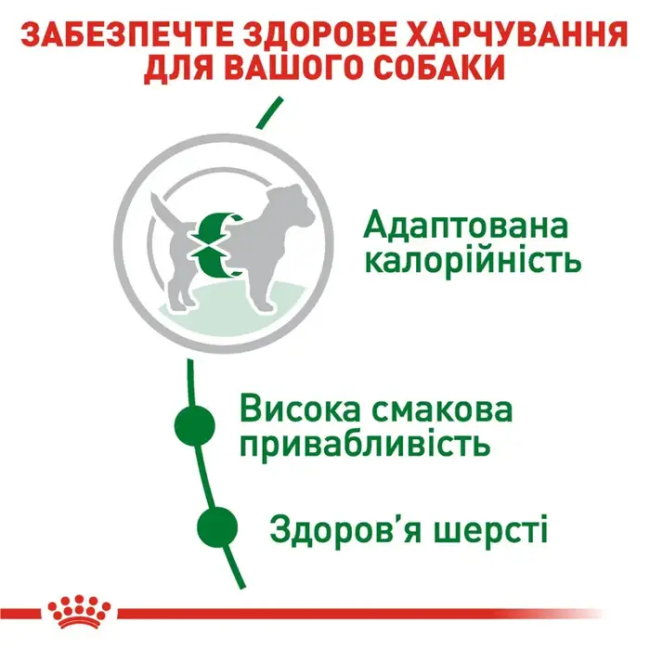 Royal Canin Mini Adult 4 кг сухий корм для собак дрібних порід
