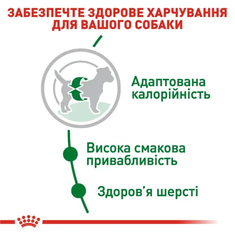 Royal Canin Mini Adult 4 кг сухий корм для собак дрібних порід