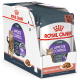 Royal Canin Appetite Control 12х85 г влажный корм в соусе для кошек