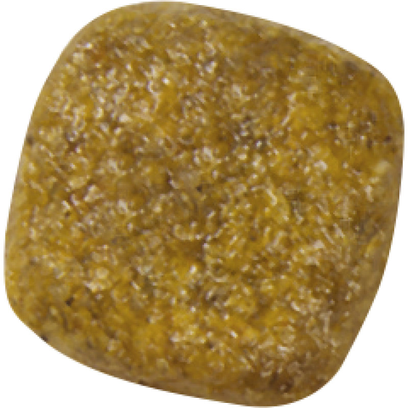 Royal Canin Renal 2 кг сухий корм для собак з підтримкою функції нирок