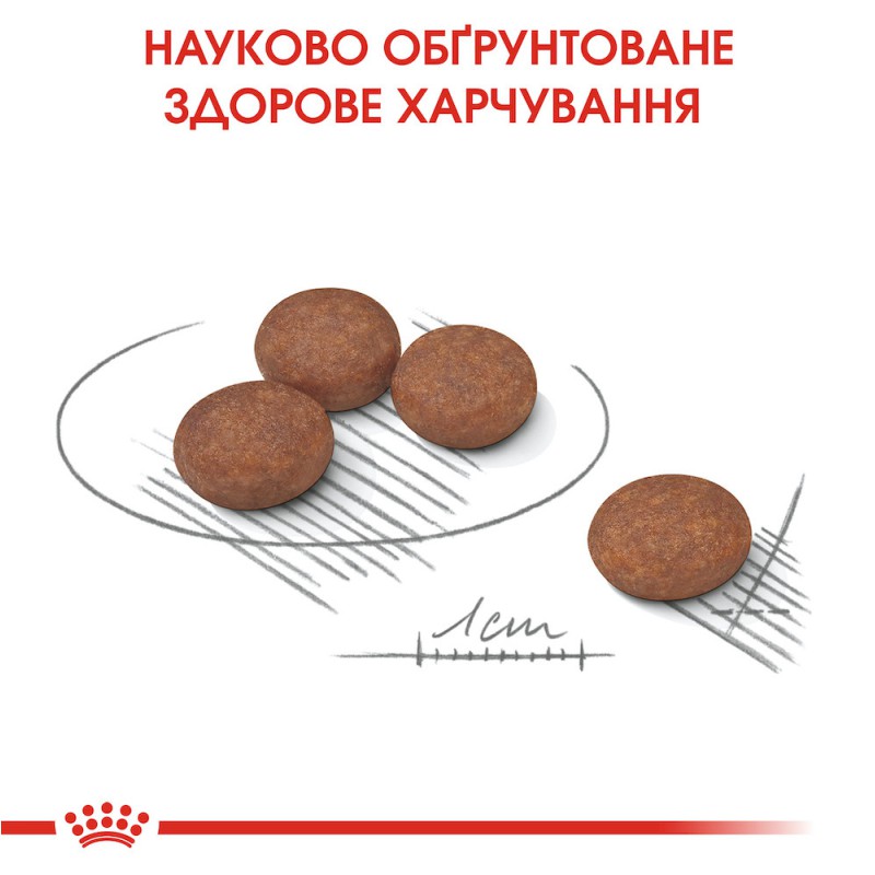 Royal Canin Mini Digestive Care 3 кг сухий корм для собак із чутливим травленням