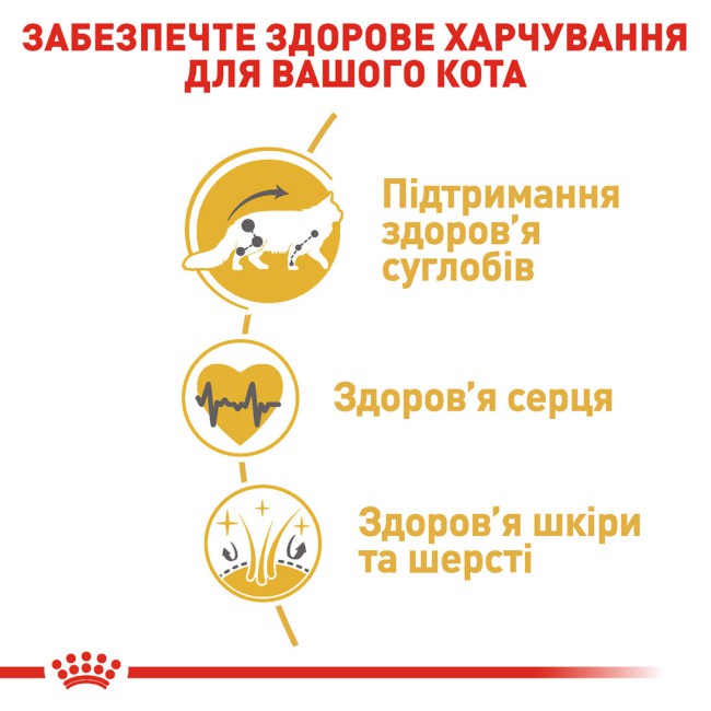 Royal Canin Maine Coon 4 кг сухий корм для котів породи Мейн-кун