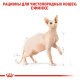 Royal Canin Sphynx 2 кг сухий корм для кішок породи сфінкс
