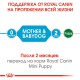 Royal Canin Mini Starter 8 кг сухий корм для цуценят маленьких порід віком від 3 до 8 тижнів
